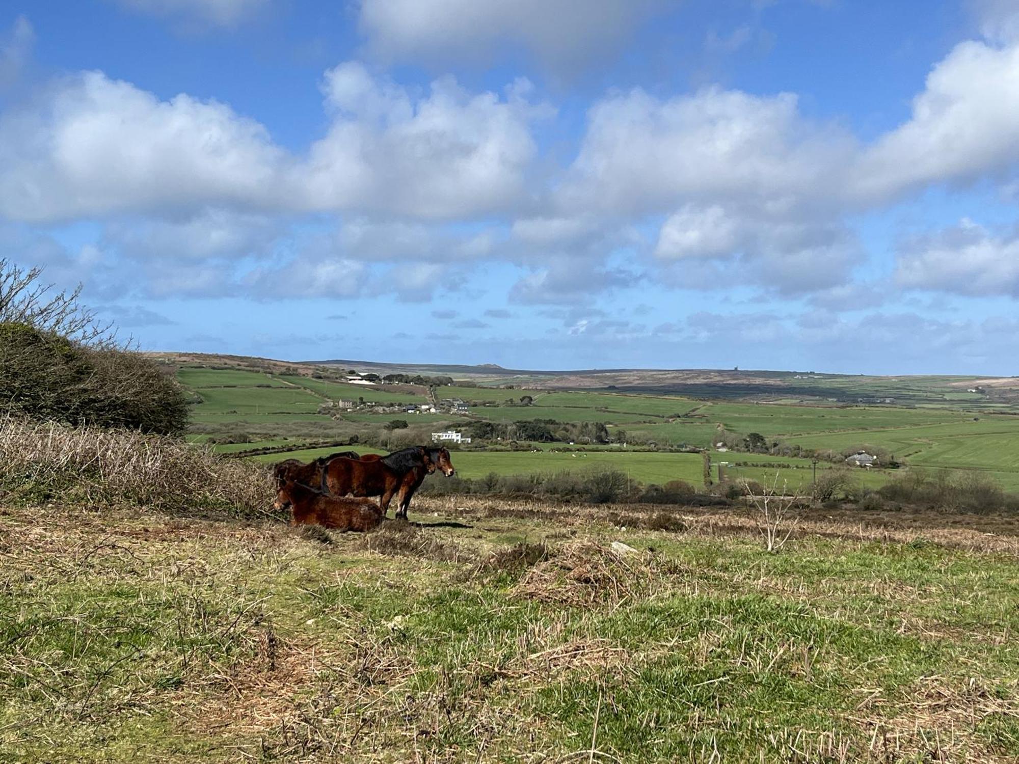 Sancreed House Cottages Penzance Esterno foto